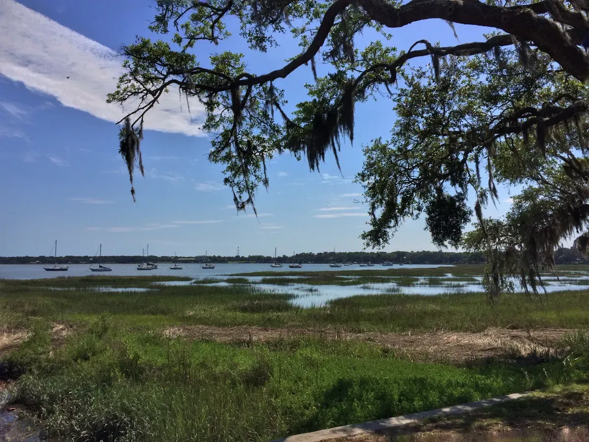 Live oaks and salt marsh on the Beaufort waterfront, South Carolina