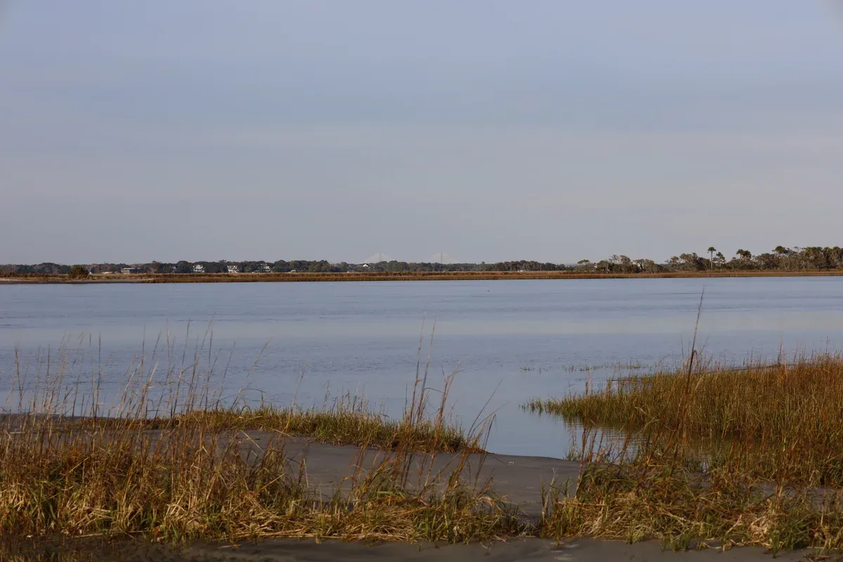 Marsh grass and tidal water at Folly Beach near Charleston, the habitat of a Folly Beach dolphin tour
